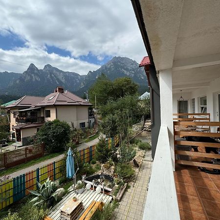 Hotel Casa David à Buşteni Extérieur photo