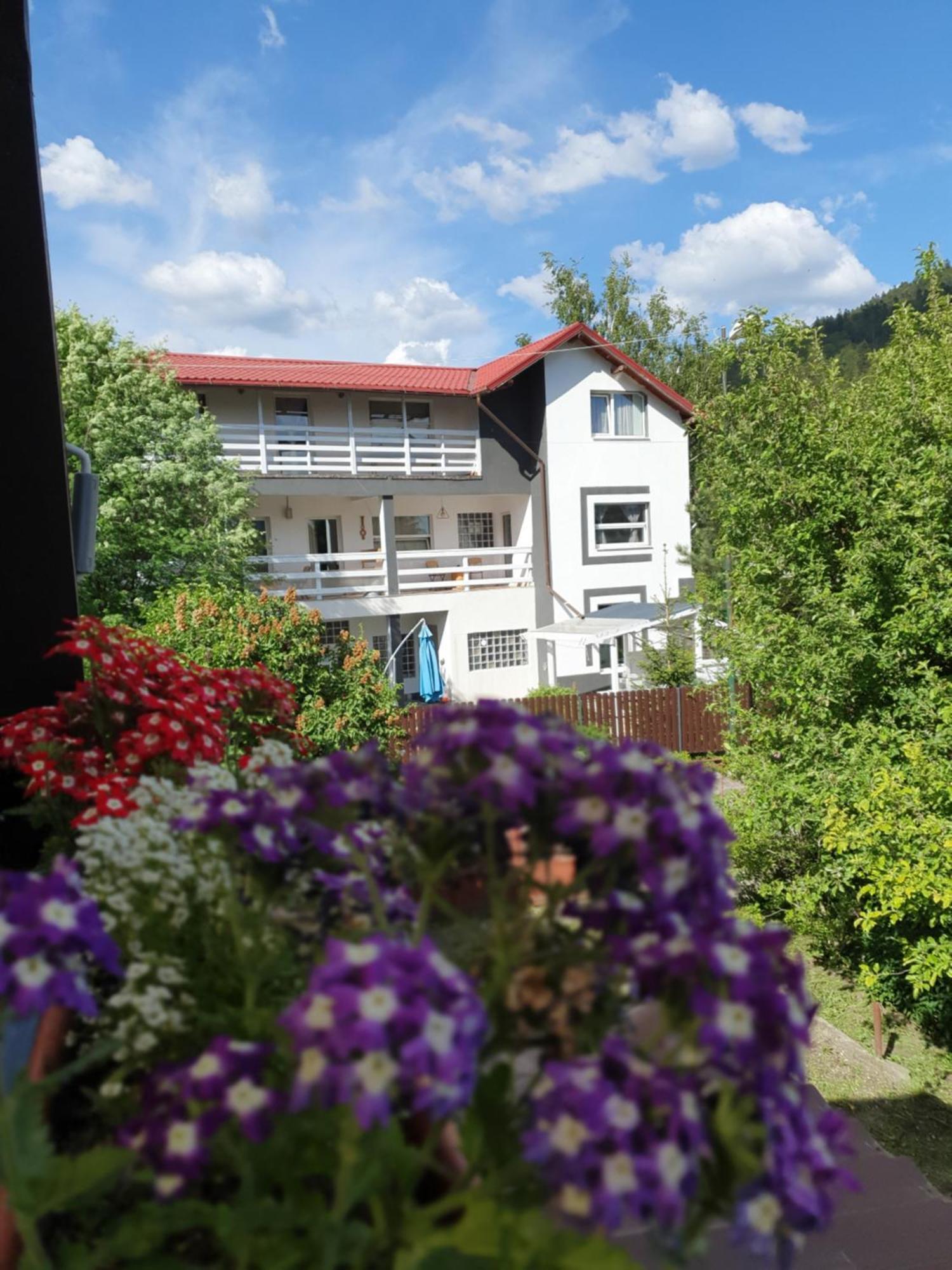 Hotel Casa David à Buşteni Extérieur photo