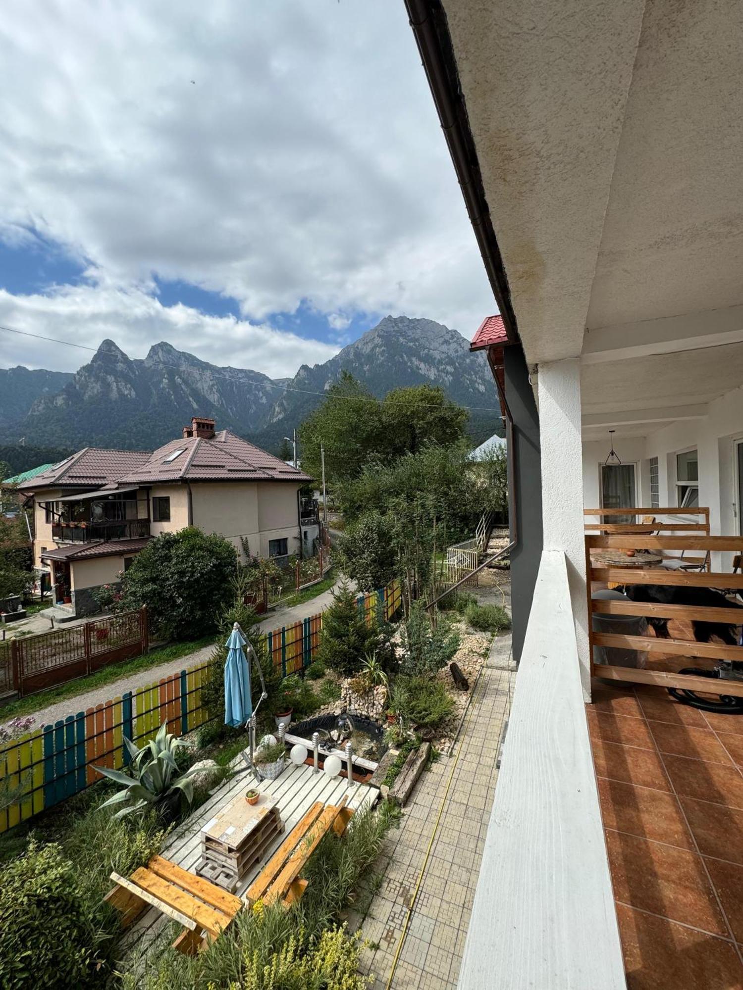 Hotel Casa David à Buşteni Extérieur photo