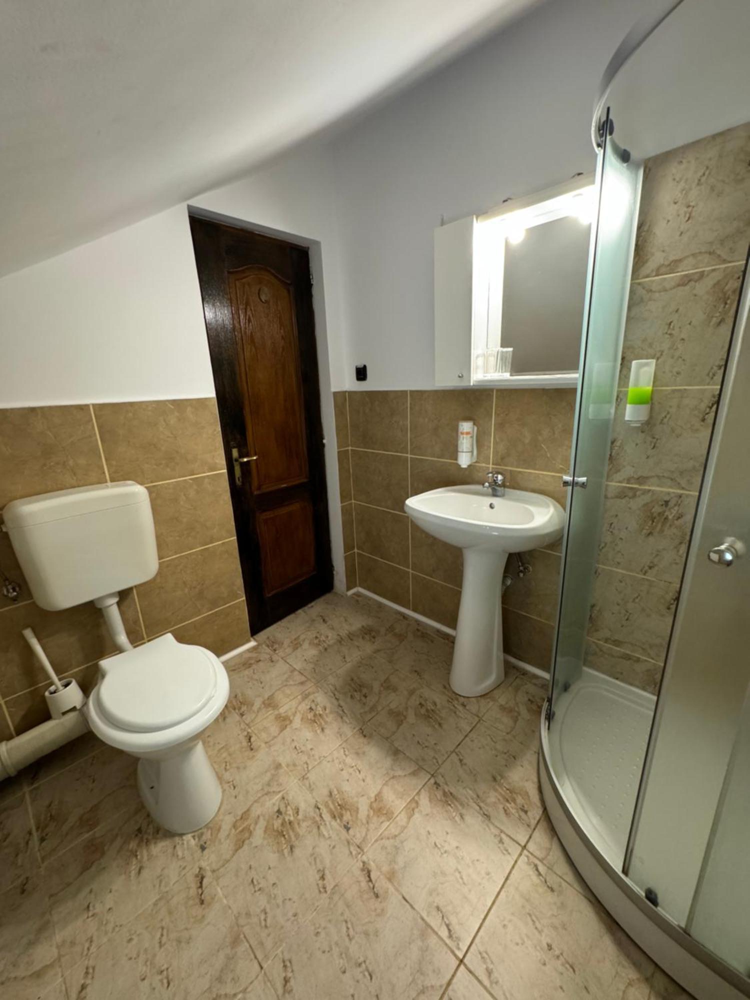Hotel Casa David à Buşteni Extérieur photo