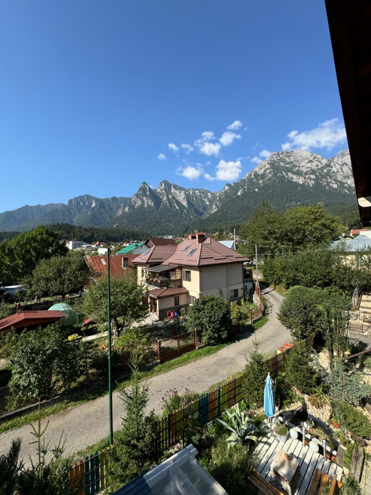 Hotel Casa David à Buşteni Extérieur photo