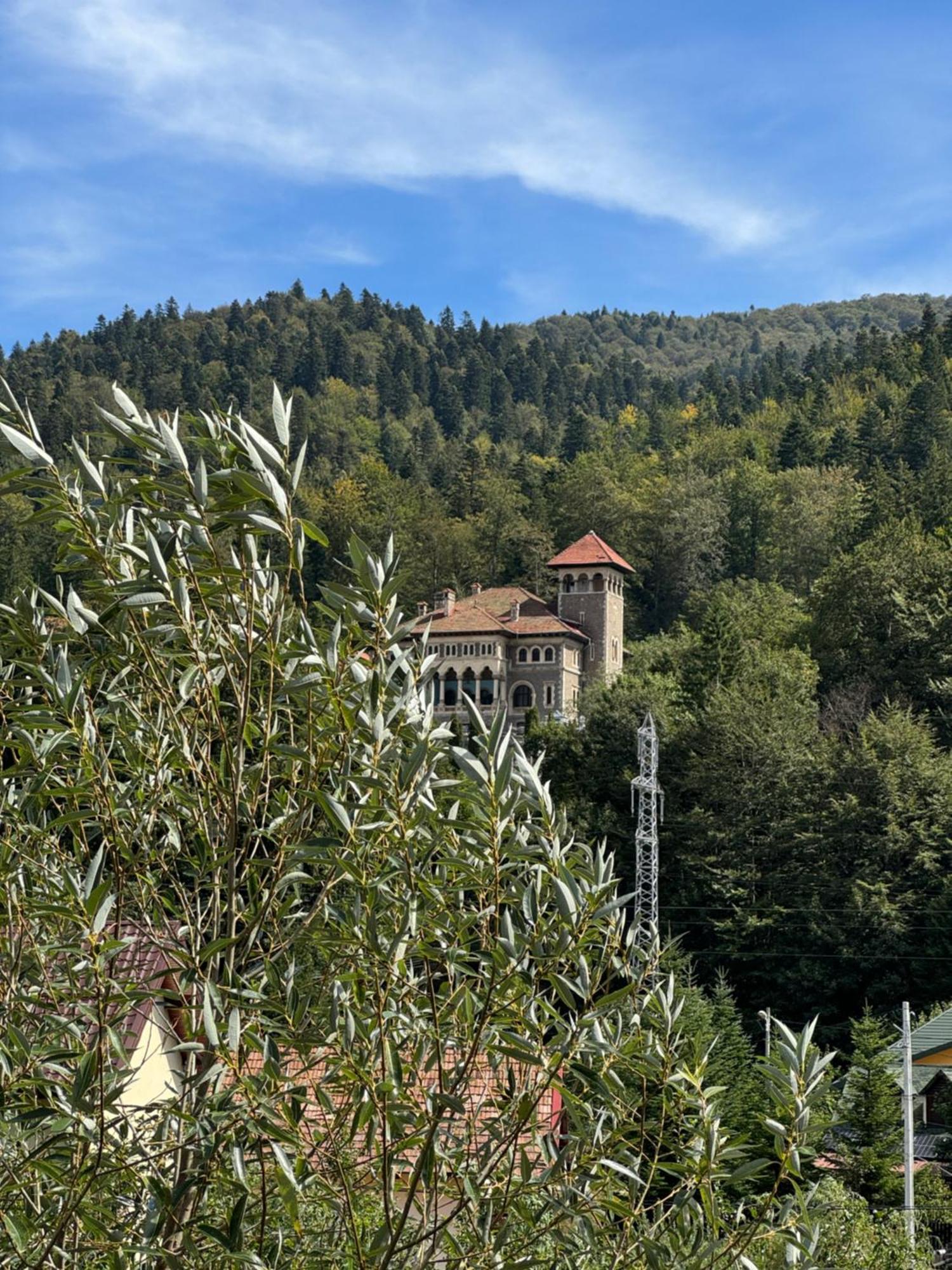 Hotel Casa David à Buşteni Extérieur photo